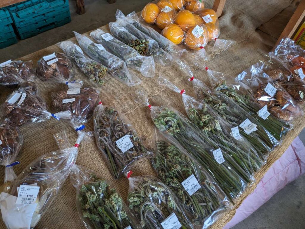 直売所で販売している山菜の写真