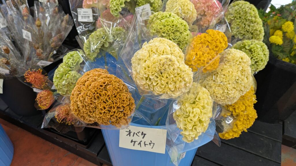 道の駅「彩菜茶屋」の花コーナー